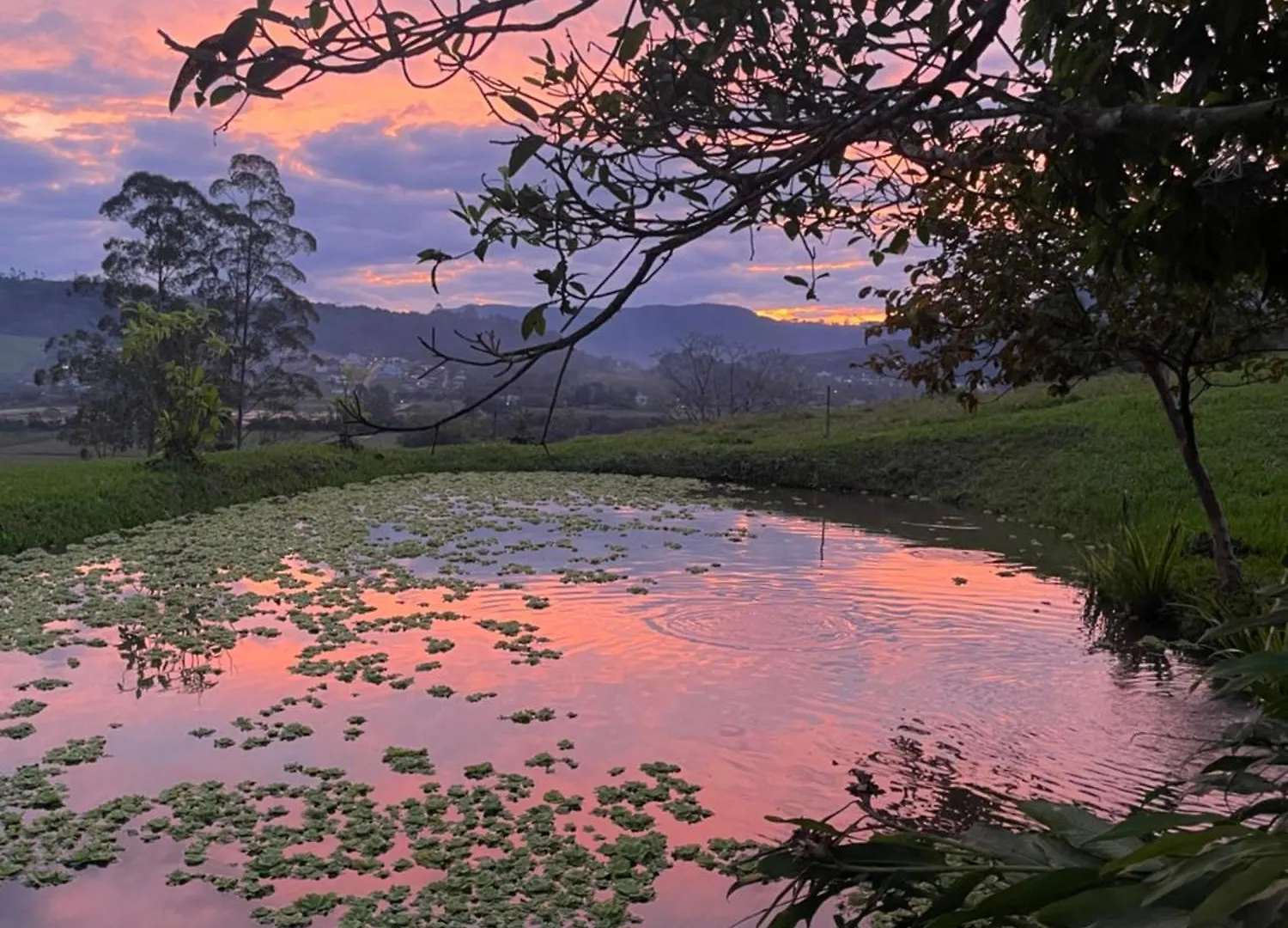 Cabana Container Glamping Rio do Sul Brazílie